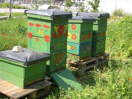 bienen01