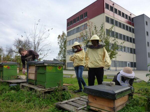 bienen02